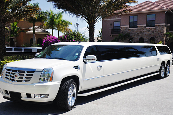 Greensboro 20 Passenger Limo